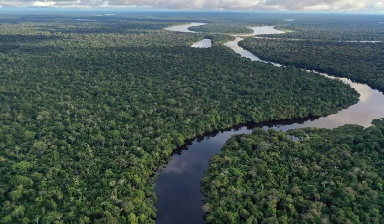 Brasil Perde 6,3 Milhões de Hectares de Água