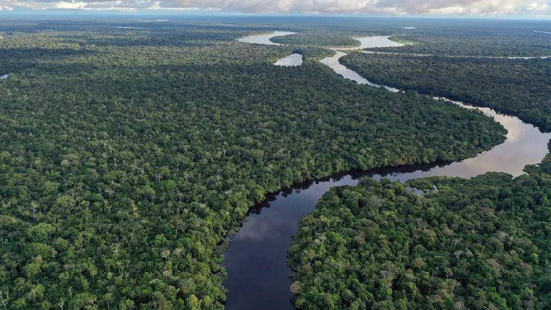 Brasil Perde 6,3 Milhões de Hectares de Água