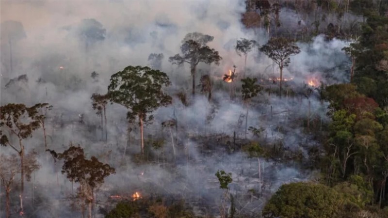 Amazônia é Consumida Pelo Fogo