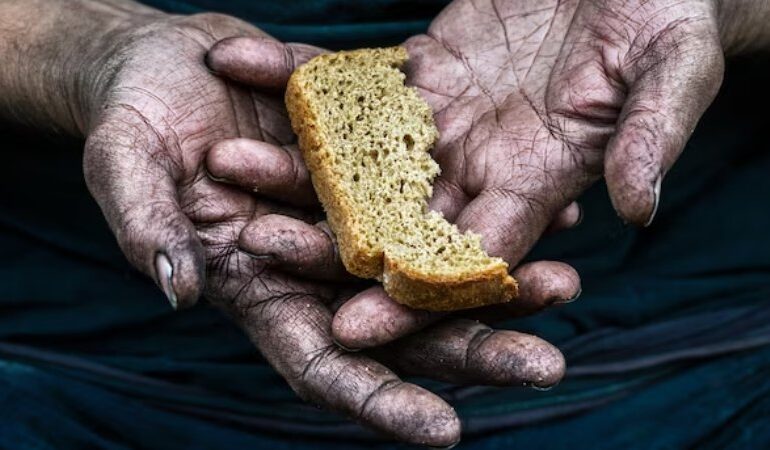 Hoje, dia 16, é o Dia Mundial da Alimentação