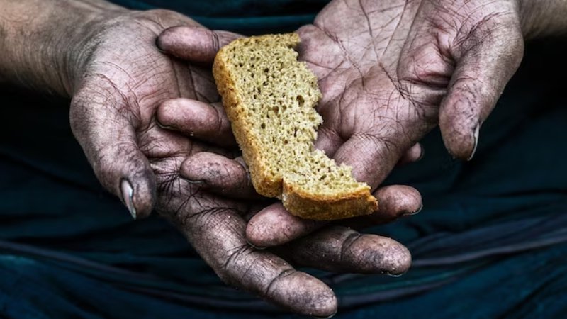 Hoje, dia 16, é o Dia Mundial da Alimentação