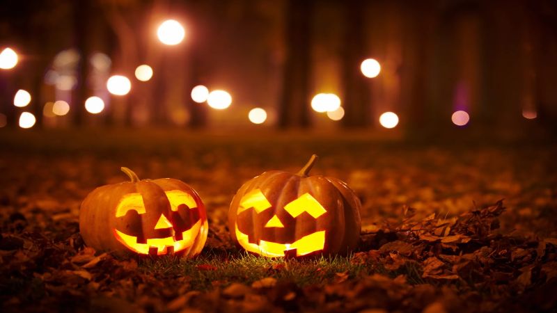 Hoje quinta-feira 31 celebra o Halloween Dia das Bruxas