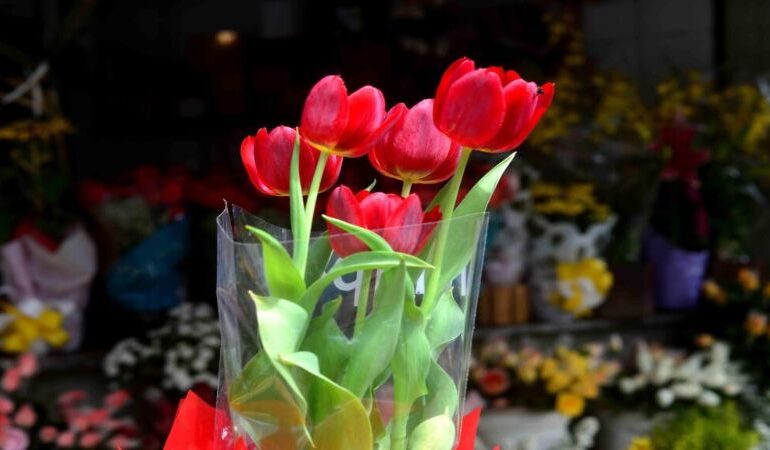 Hoje terça-feira celebra o Dia das Flores