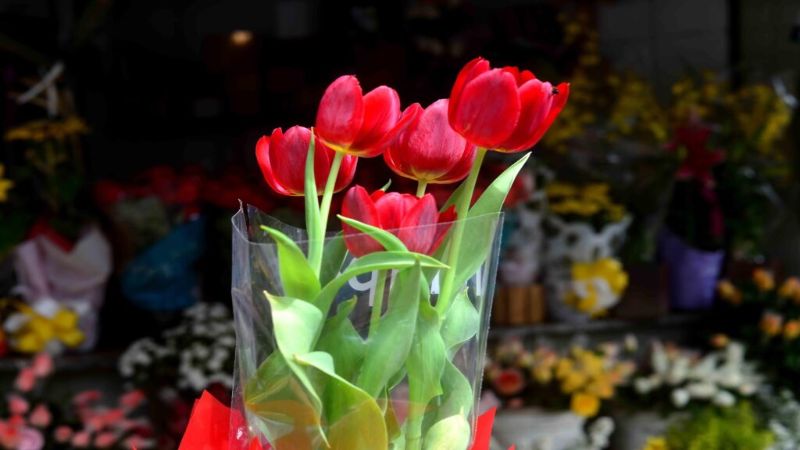 Hoje terça-feira celebra o Dia das Flores