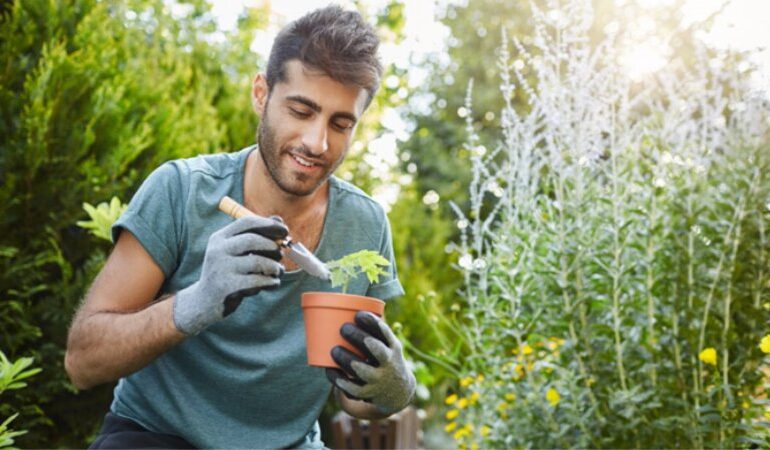 Jardinagem Proporciona Benefícios para Corpo e Mente