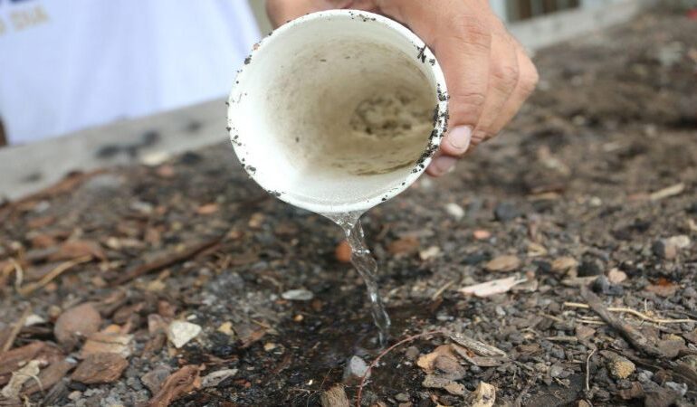 RJ reforça ações de prevenção à dengue