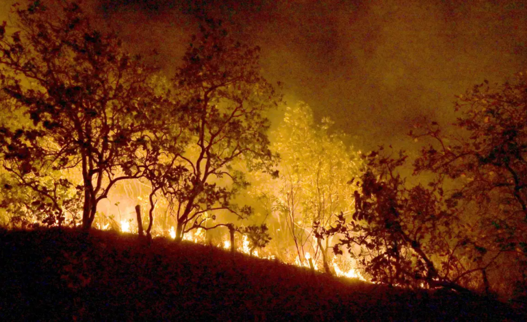 Bombeiros combatem mais de 500 incêndios no RJ