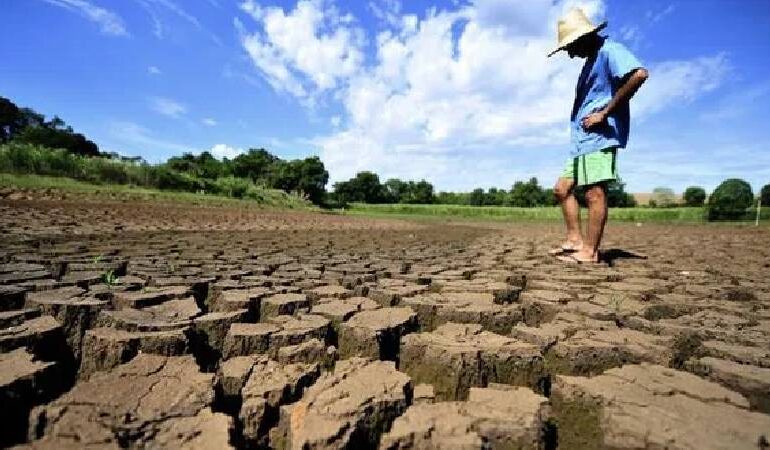 Dia Mundial de Combate à Desertificação e à Seca