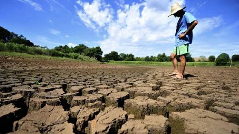 Dia Mundial de Combate à Desertificação e à Seca