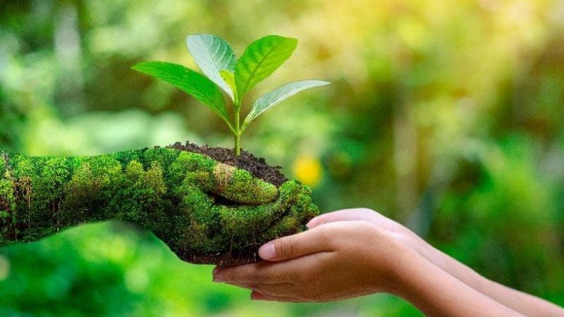 Dia Mundial do Meio Ambiente