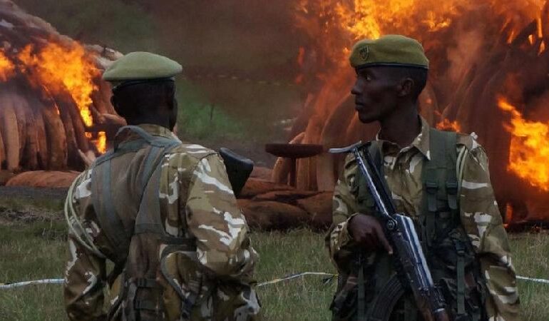 Dia Mundial do Guarda-Florestal