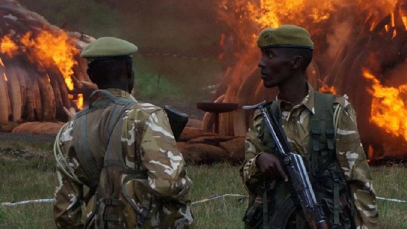 Dia Mundial do Guarda-Florestal