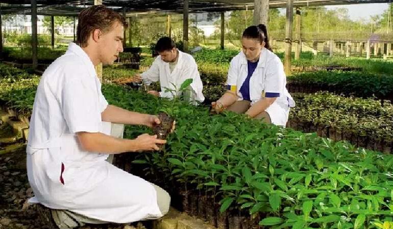 Dia do Engenheiro Florestal