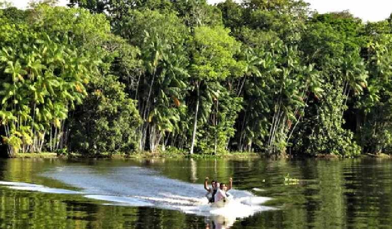 Dia do Irmão e da Amazônia
