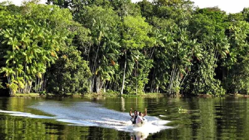 Dia do Irmão e da Amazônia
