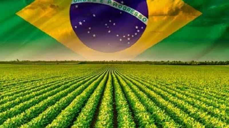 Brasil – Celeiro do mundo ‘assusta’ a Europa