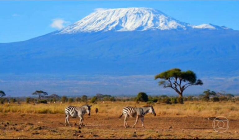 Dia Mundial da Vida Selvagem