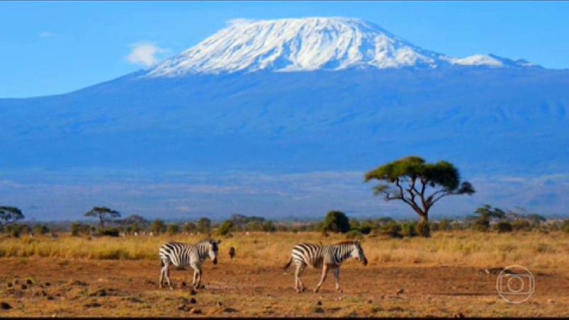 Dia Mundial da Vida Selvagem